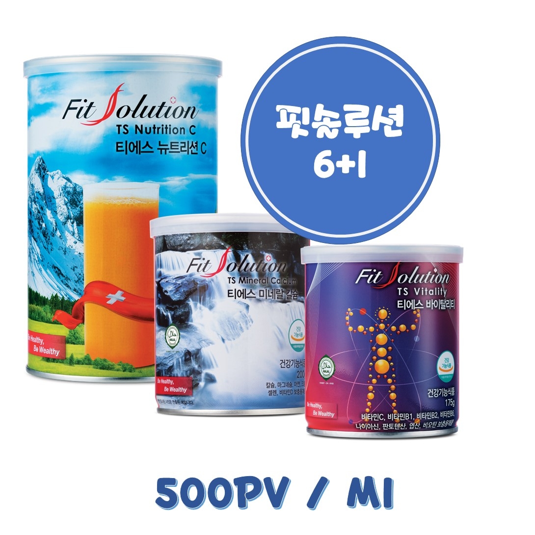 Fit Solution(6＋1) 500PV